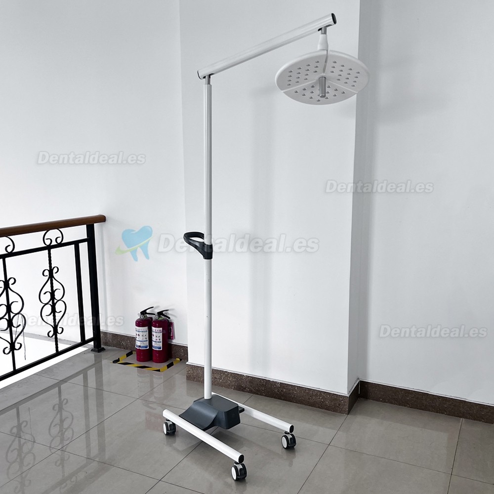 KWS KD-2036L-4 L&aacute;mpara Dental LED M&oacute;vil de Pie 80W con 4 Ruedas